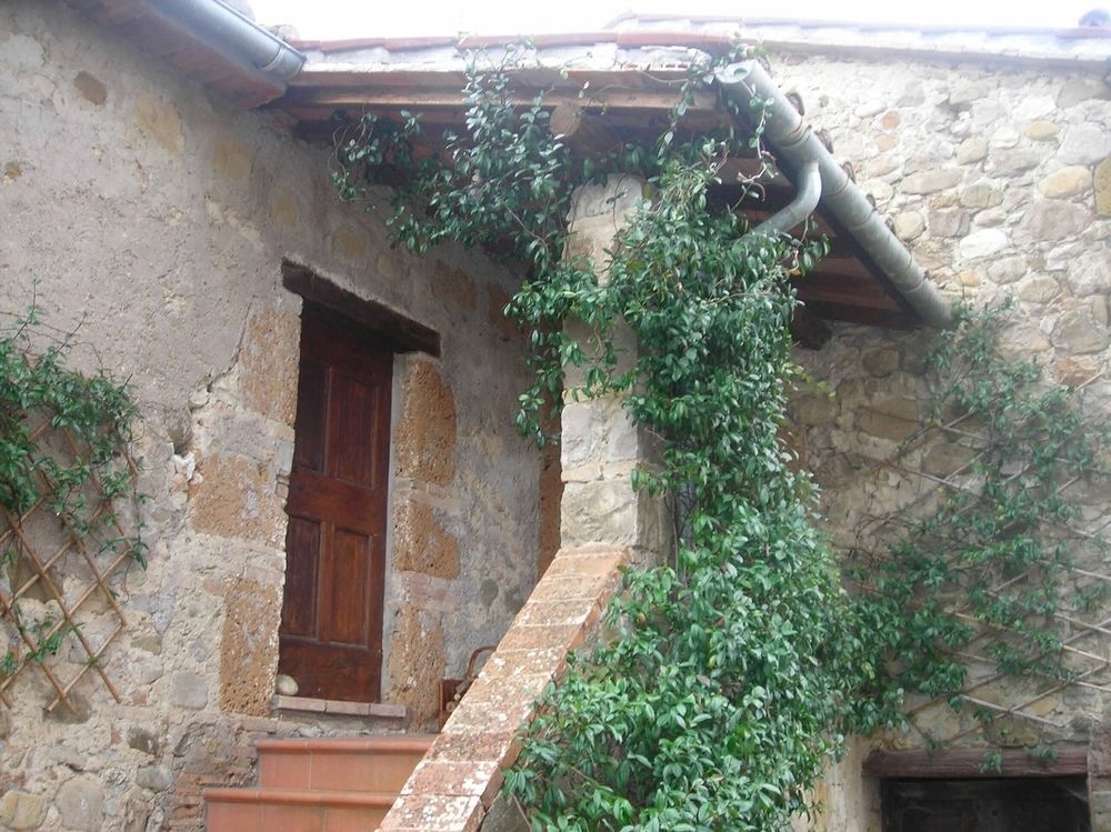 Agriturismo Le Spighe Proceno Exterior photo