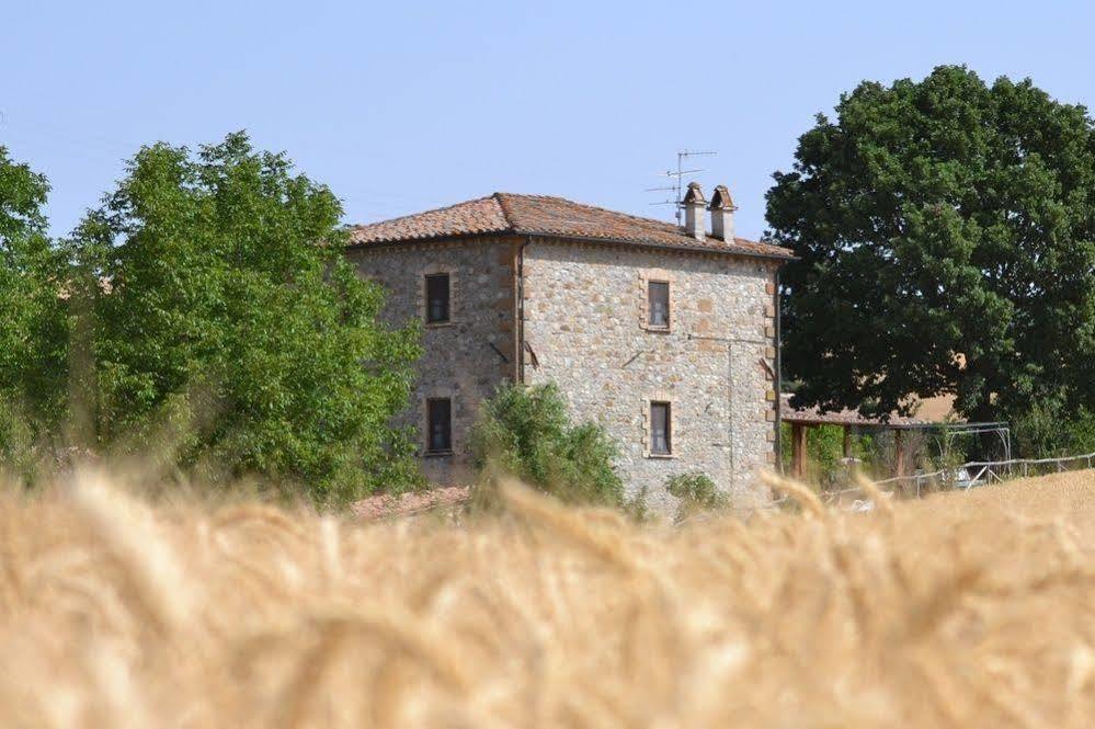 Agriturismo Le Spighe Proceno Exterior photo