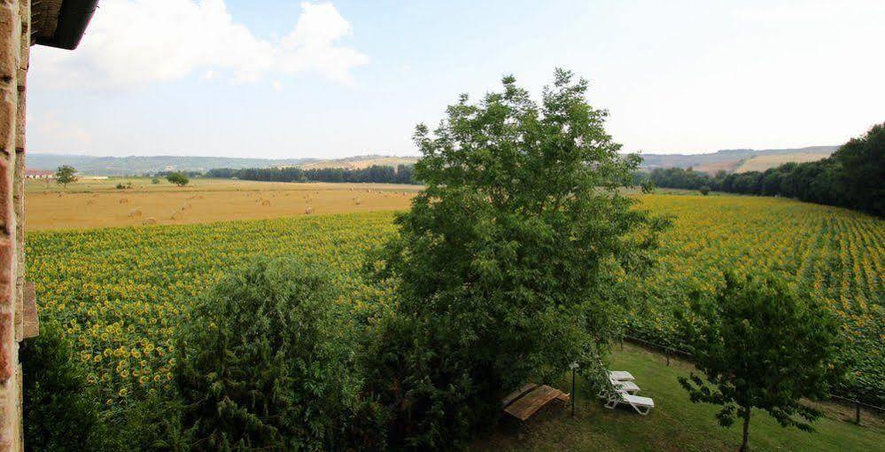 Agriturismo Le Spighe Proceno Exterior photo